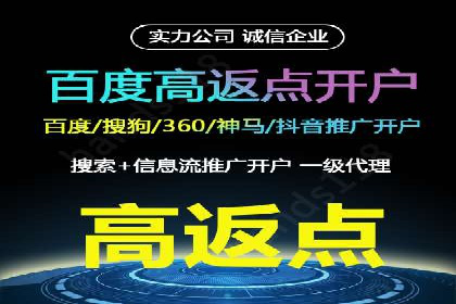 成功SEM服务案例：优化广告投放