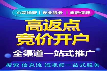 实战案例：如何利用百度推广拓展市场份额
